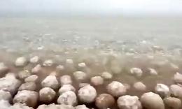 美国密歇根州湖岸现大量巨型冰球，场面壮观