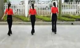 广场舞【草原之夜】16步恰恰(清晰)_舞蹈视频