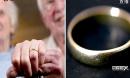 黄金婚戒指：英国猫咪找回主任金婚戒指
