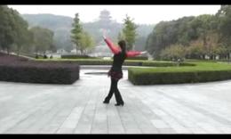 广场舞蹈视频大全 广场舞教学 动动广场舞 健身