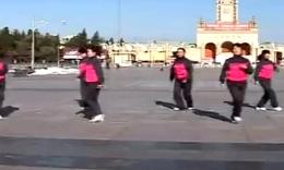 初学广场舞的基本垫步视频,一步一步的教