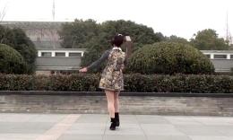 动动广场舞 张灯结彩 含 背面 分解动作 教学 1